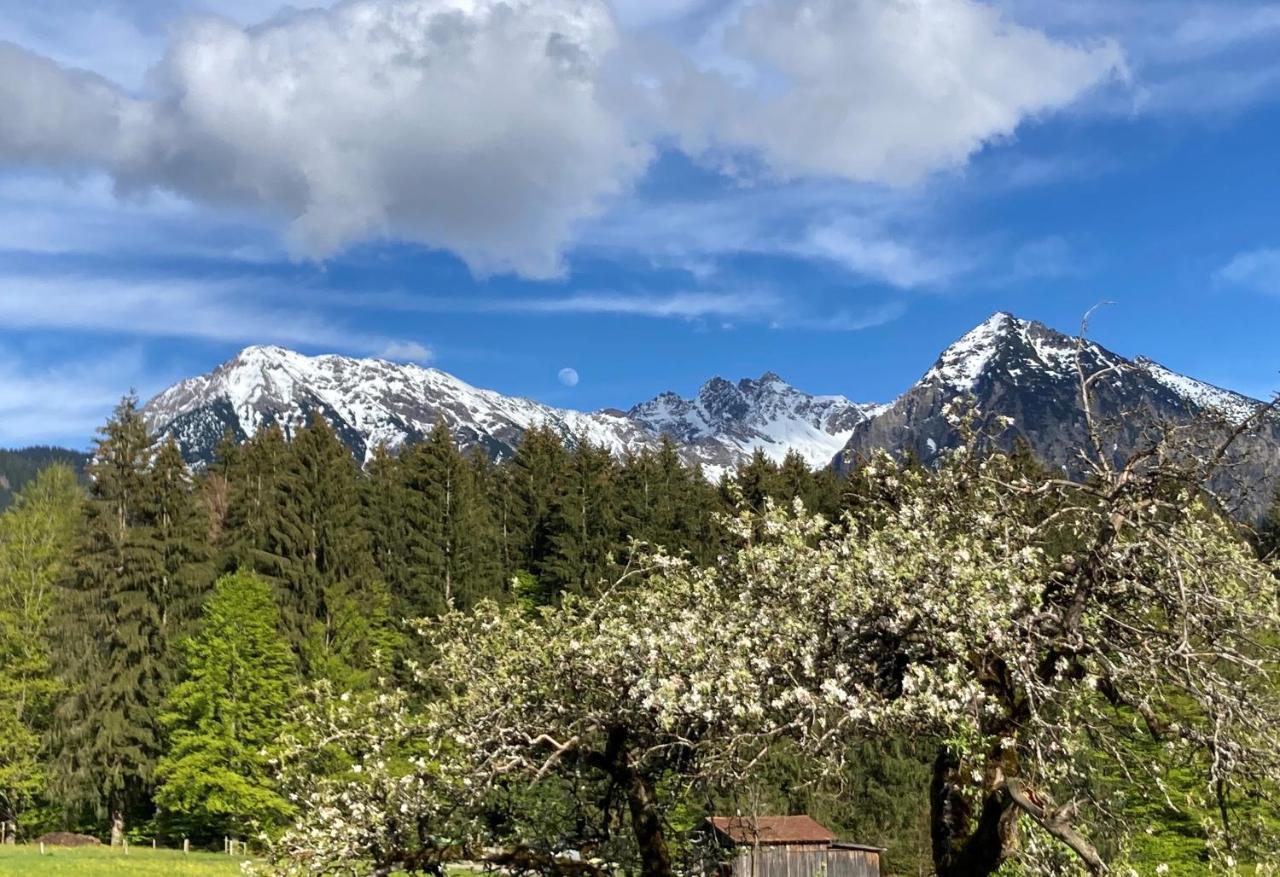 Gaestehaus Alpenruh Fischen im Allgaeu Εξωτερικό φωτογραφία